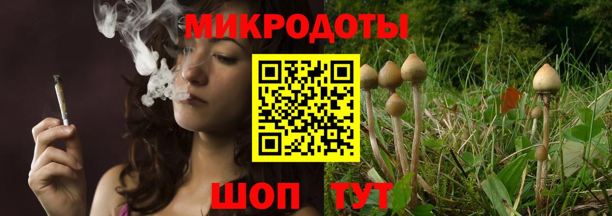 Галлюциногенные грибы Magic Shrooms  цены   Галлюциногенные грибы GOLDEN TEACHER  Кропоткин  Вход с VPN 